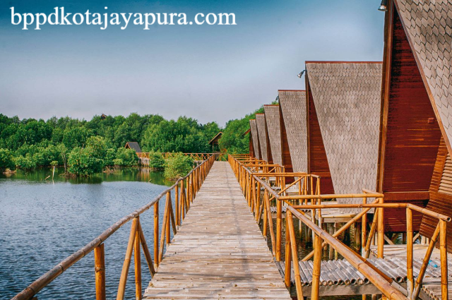 Wisata Mangrove Angke Kapuk Jakarta: Alam & Edukasi